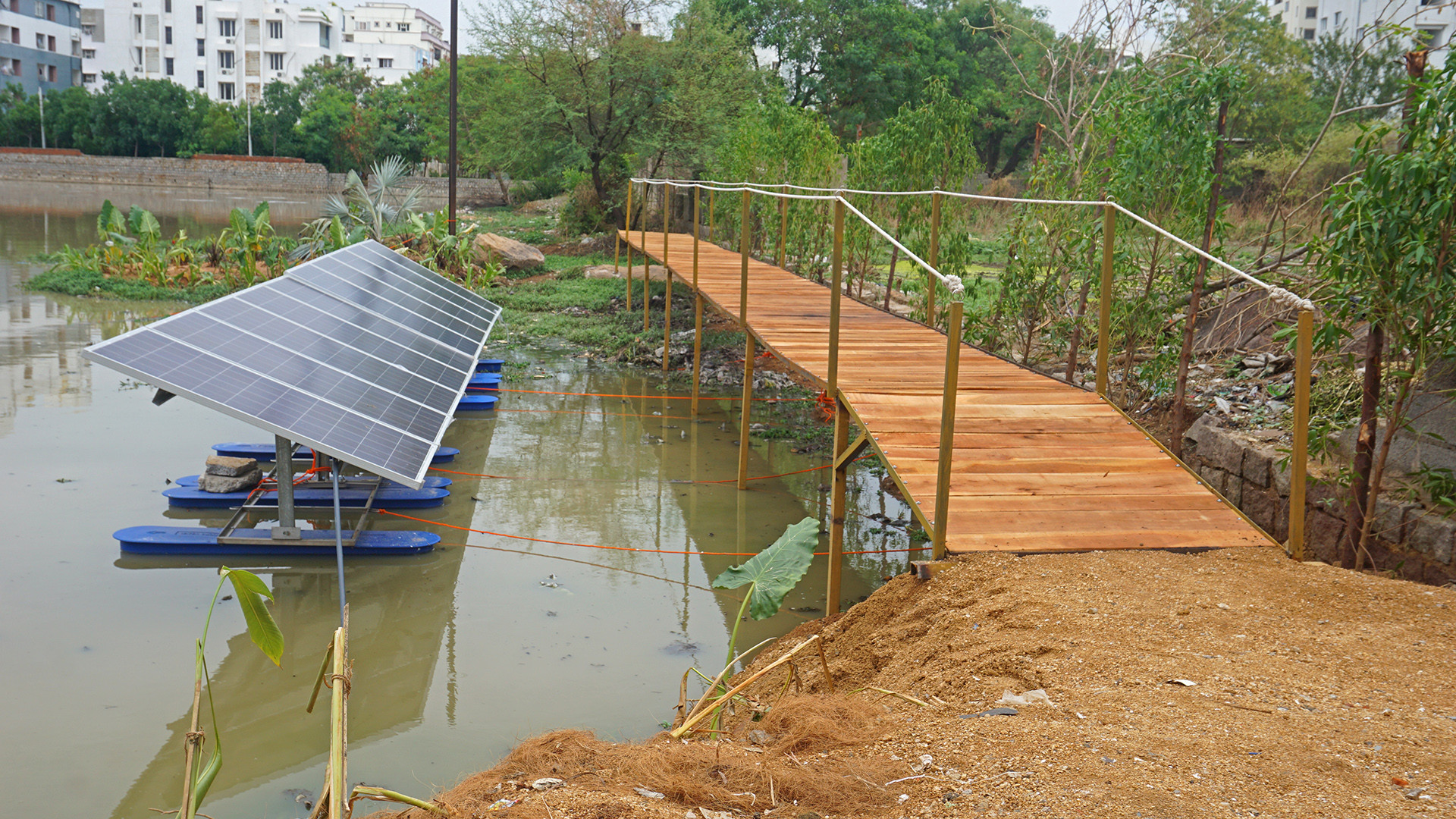 Dsc - Making Cities Water Wise | Nature inFocus