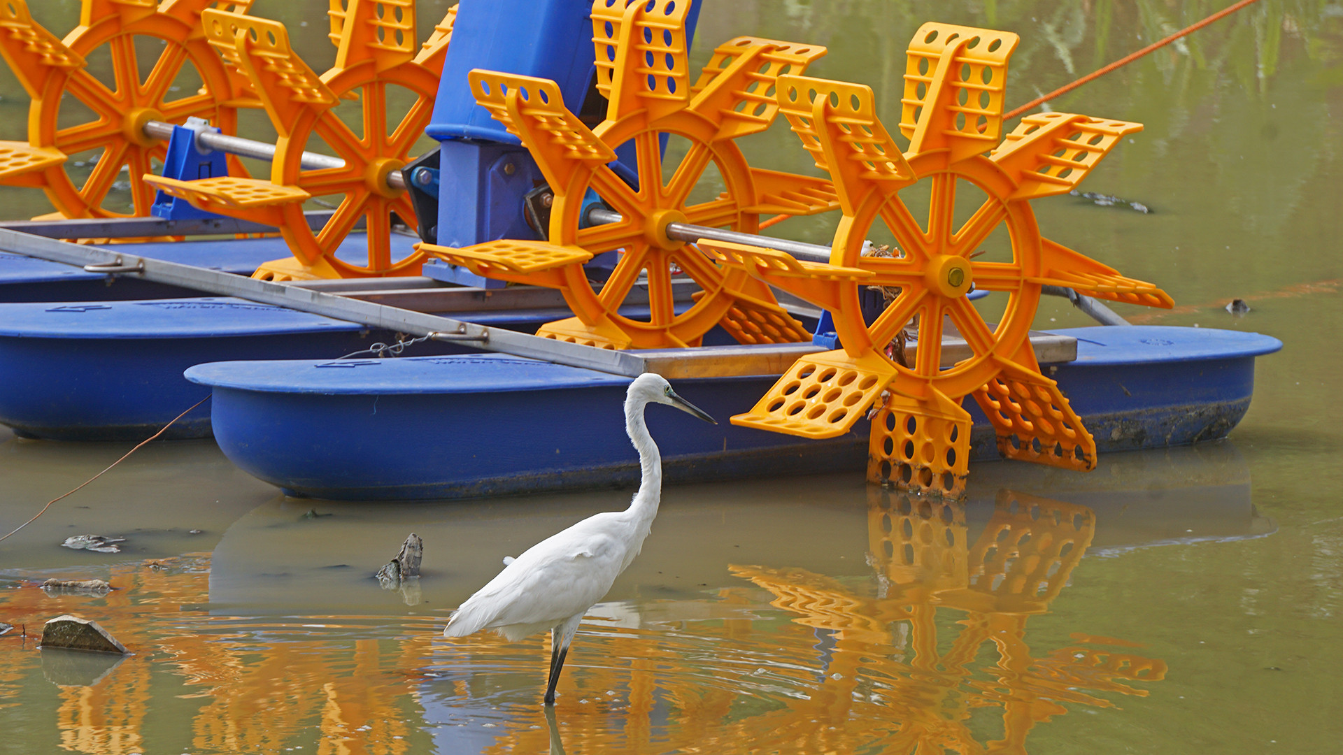 Dsc copy - Making Cities Water Wise | Nature inFocus
