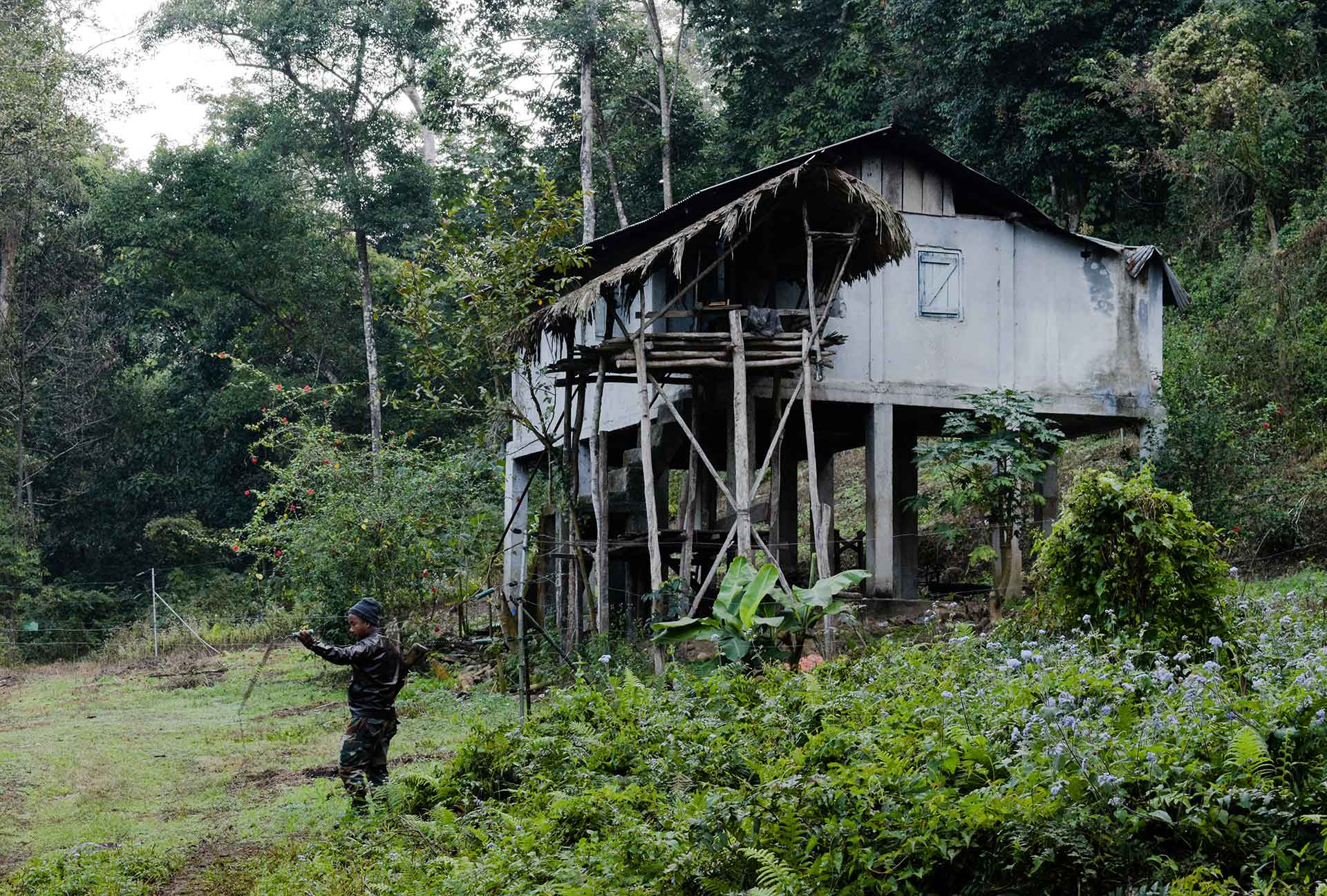 solar fencing to protect an anti poaching camp from elephants in Pakke Forest