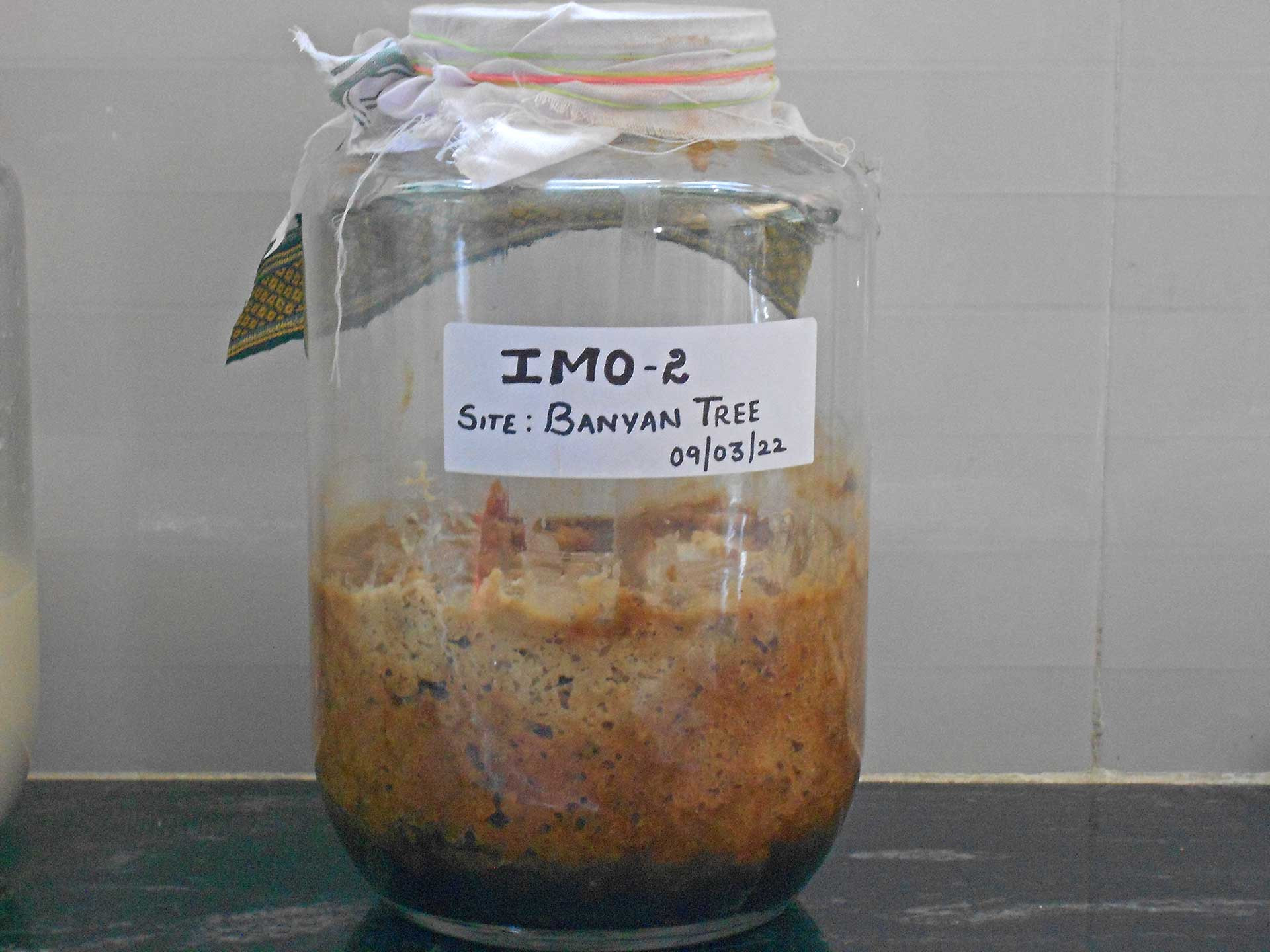 microorganisms that show soil biodiversity