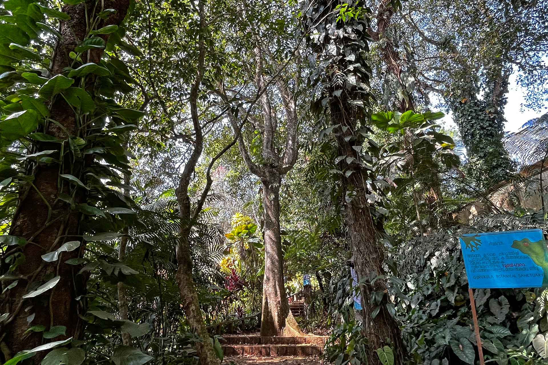      Entrance to GurukulaERA | Nature Infocus