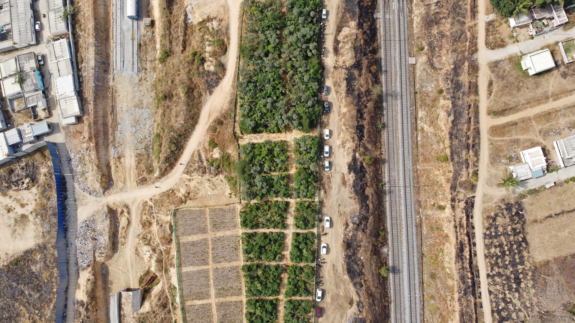 Ewq twxu aaqxpg - Can We Grow Urban Forests? | Nature inFocus