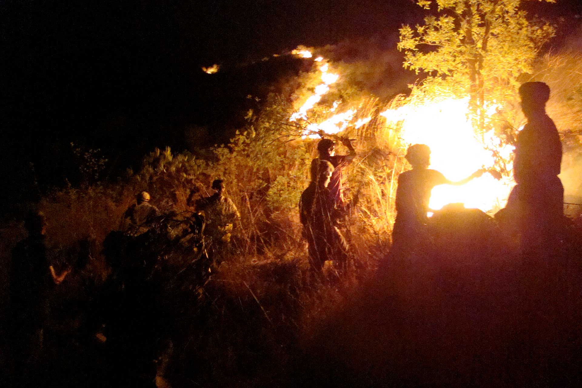      Fire fighting | Nature Infocus