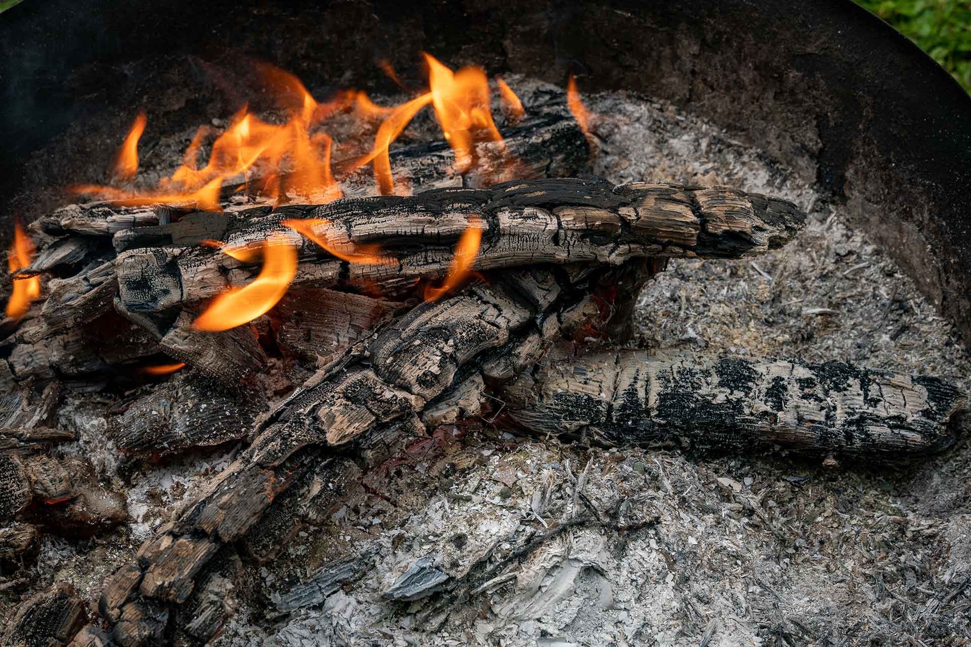 Firewood burning in a forest area 