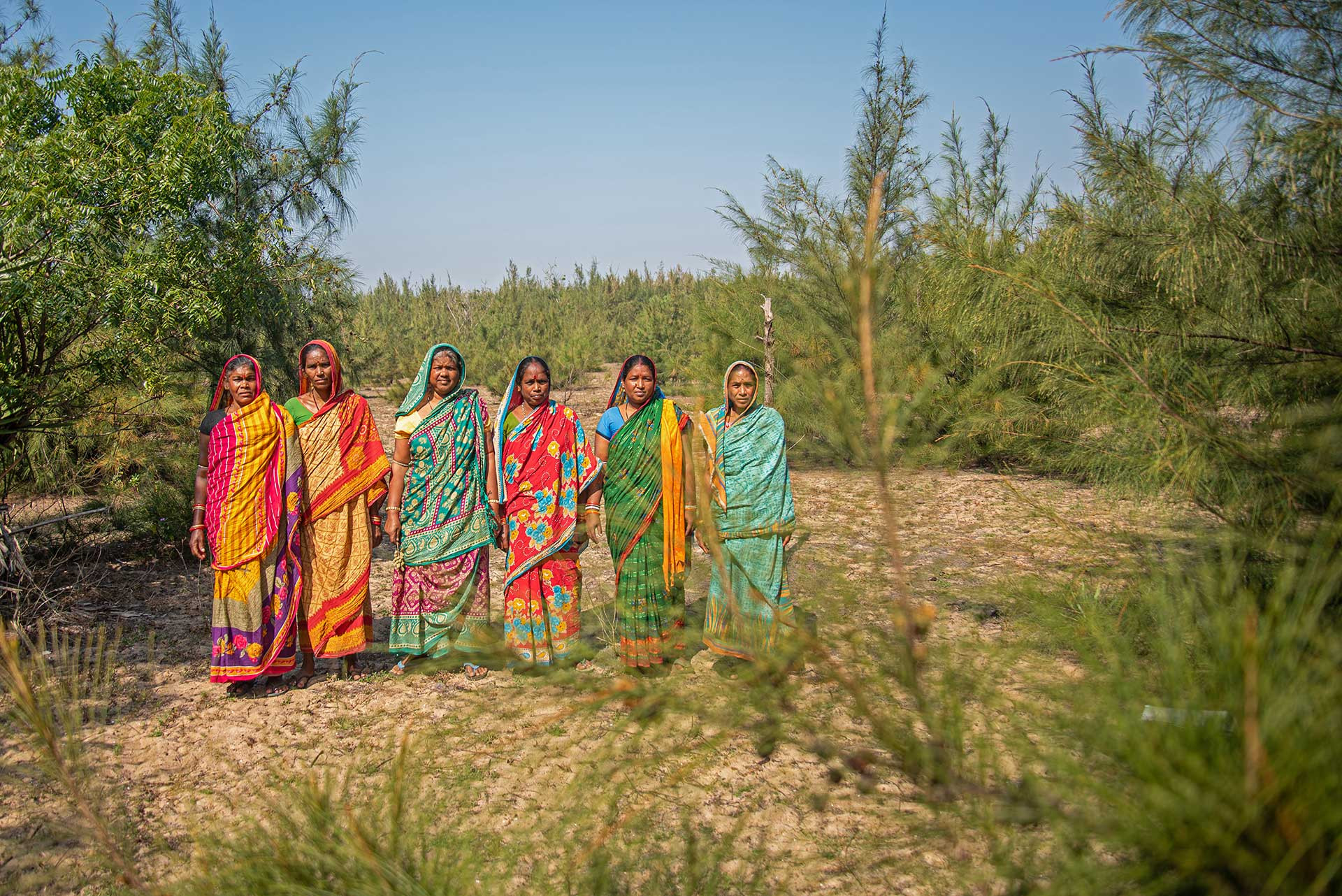 Women from Astaranga village in Odisha taking care of casuarina