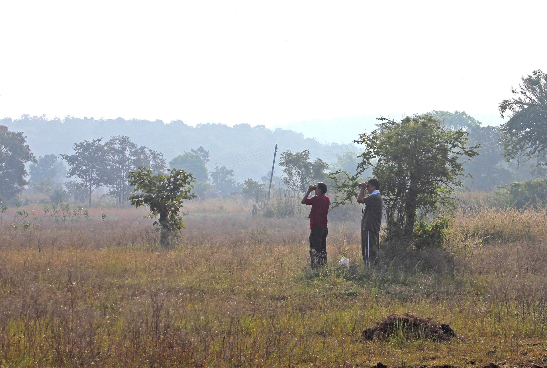 Birdwatchers in Gorewada Biodiversity Park Nagpur