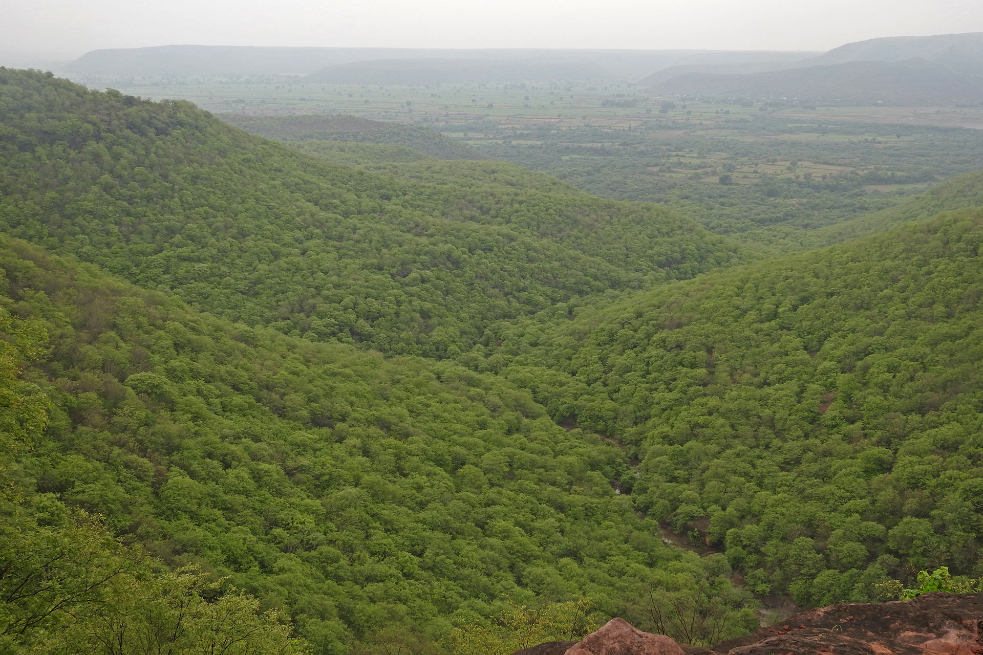 Kailadevi Wildlife Sanctuary