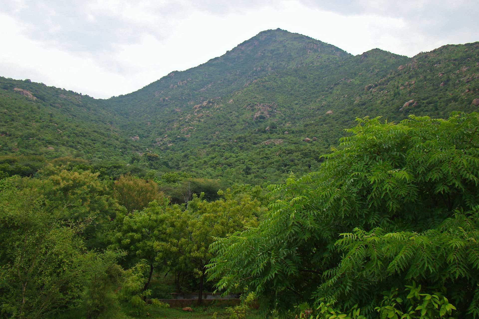     Hill after rains | Nature Infocus