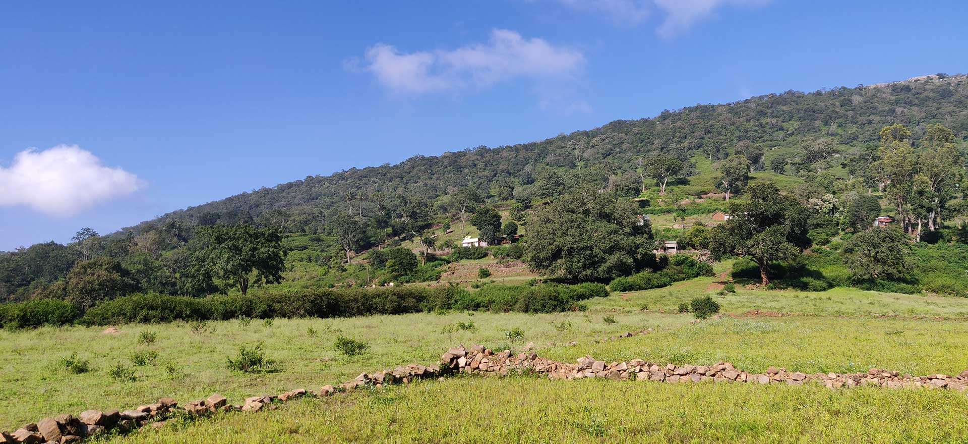 Holemathi