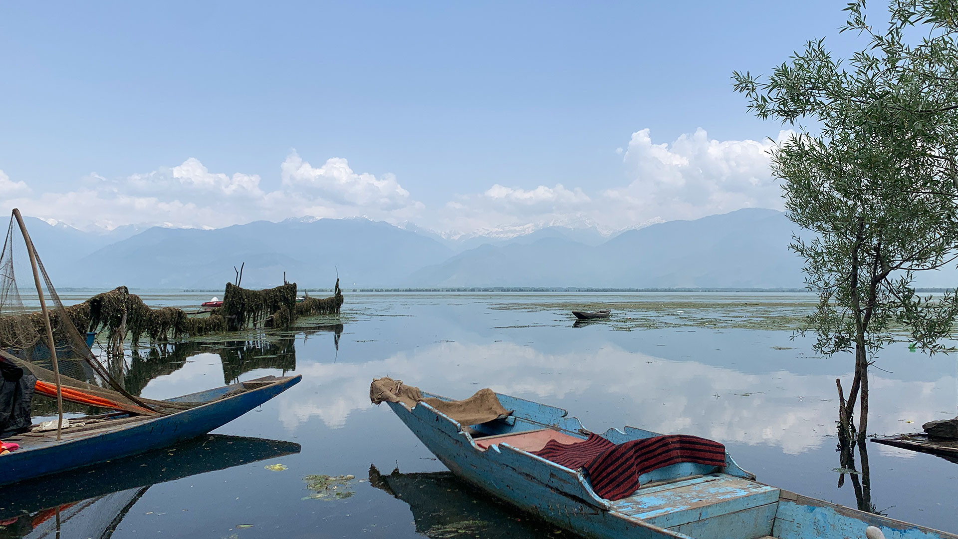 Image Wular | Nature Infocus