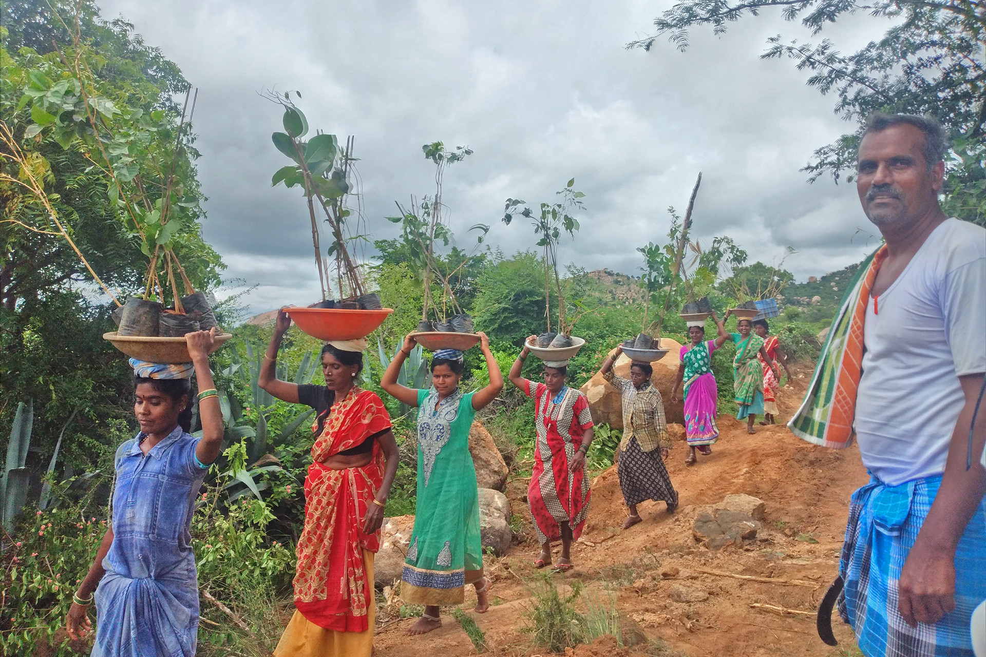 Involvement of local communities - Can We Grow Urban Forests? | Nature inFocus