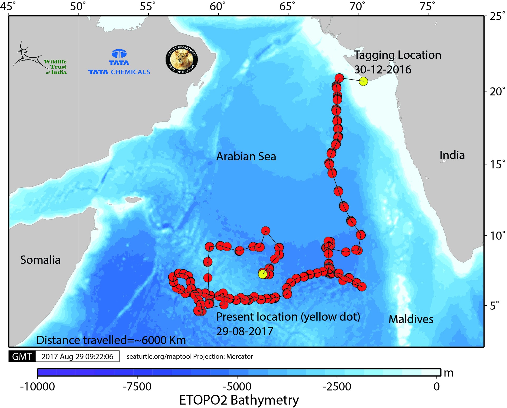 Iwsd tracking new - Joining The Dots | Nature inFocus