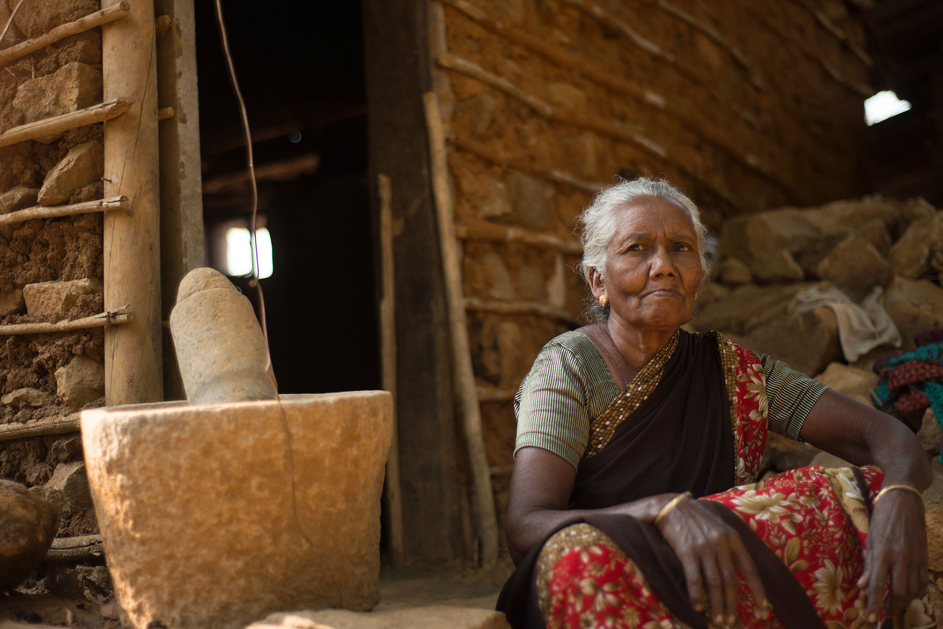      Kadars GAN     | Nature Infocus