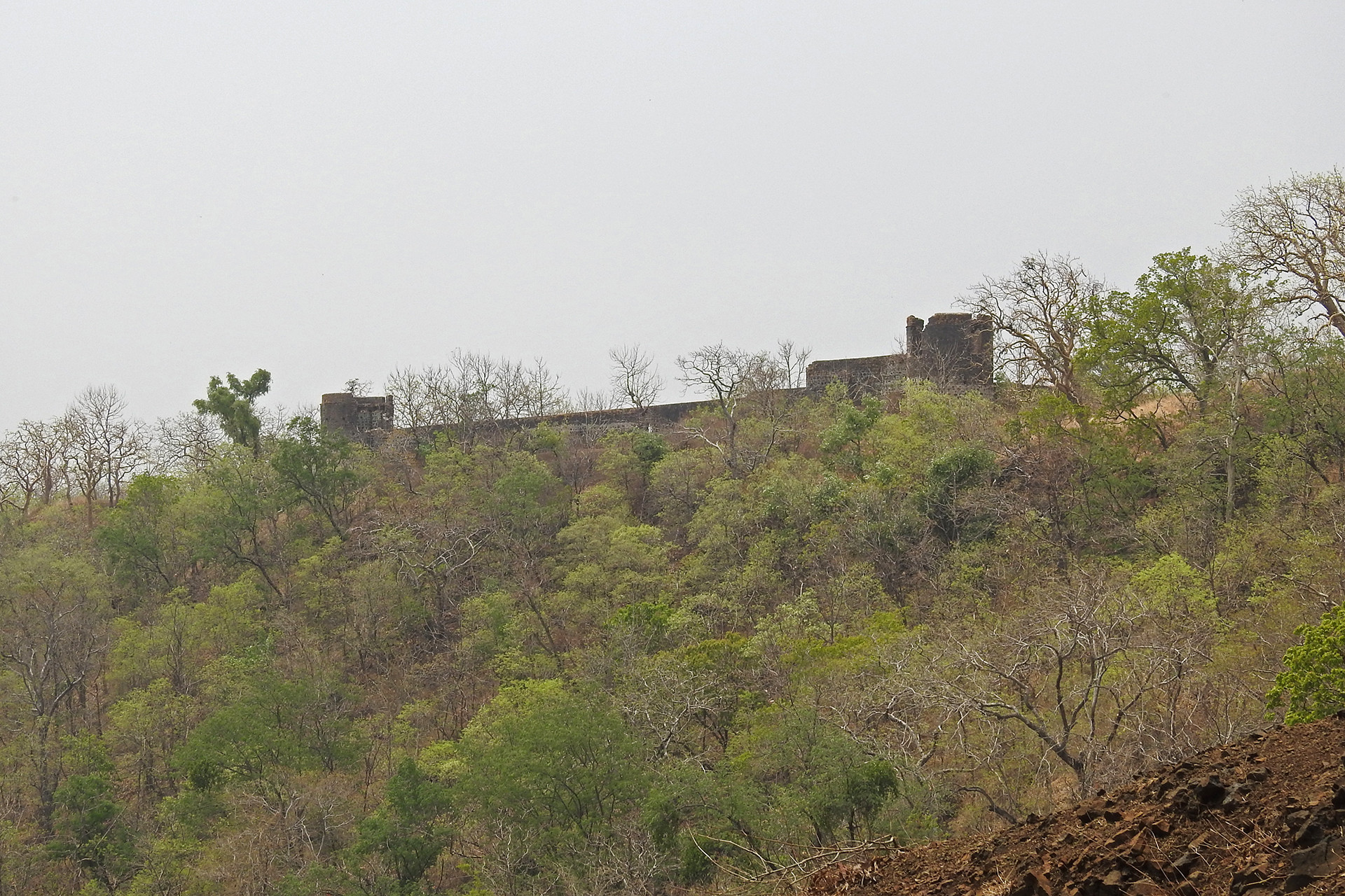 Kajligarh fort - 13 Places To Go Birdwatching In Indore | Nature inFocus