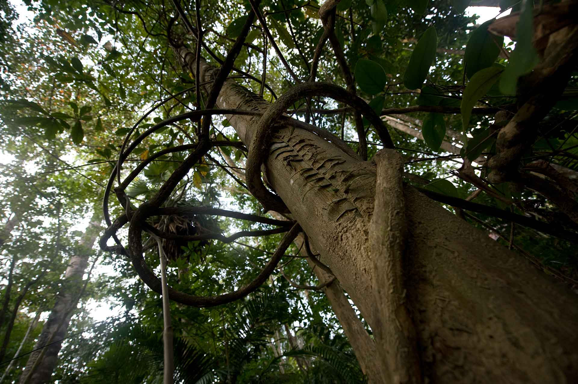 KalyanVarma D A | Nature Infocus