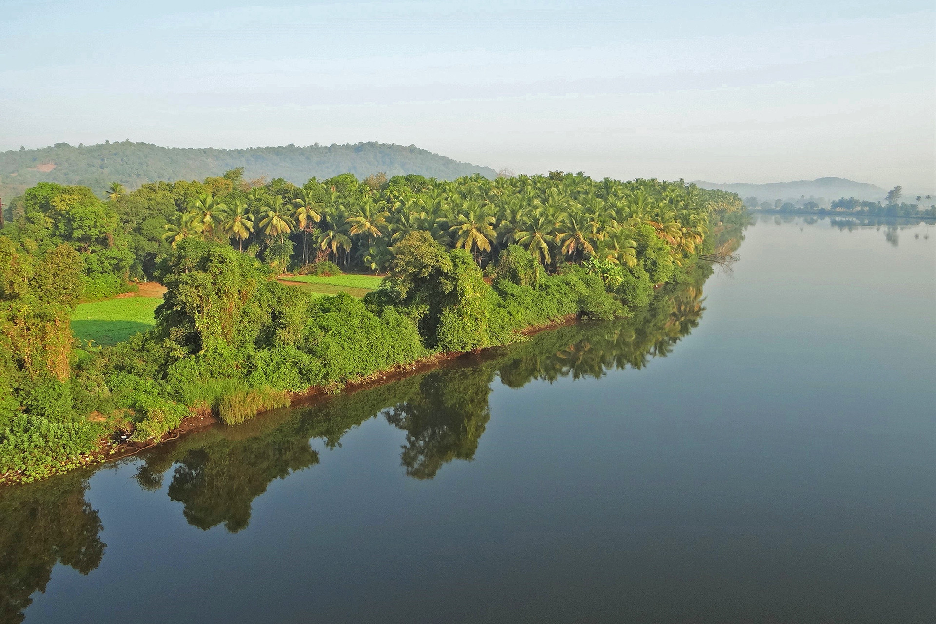 Karlinerurparjan - On Rivers That Flow And Dams That Stow | Nature inFocus