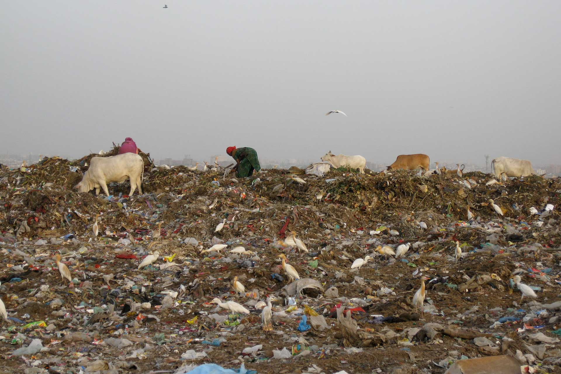 A landfill with garbage in New Delhi India