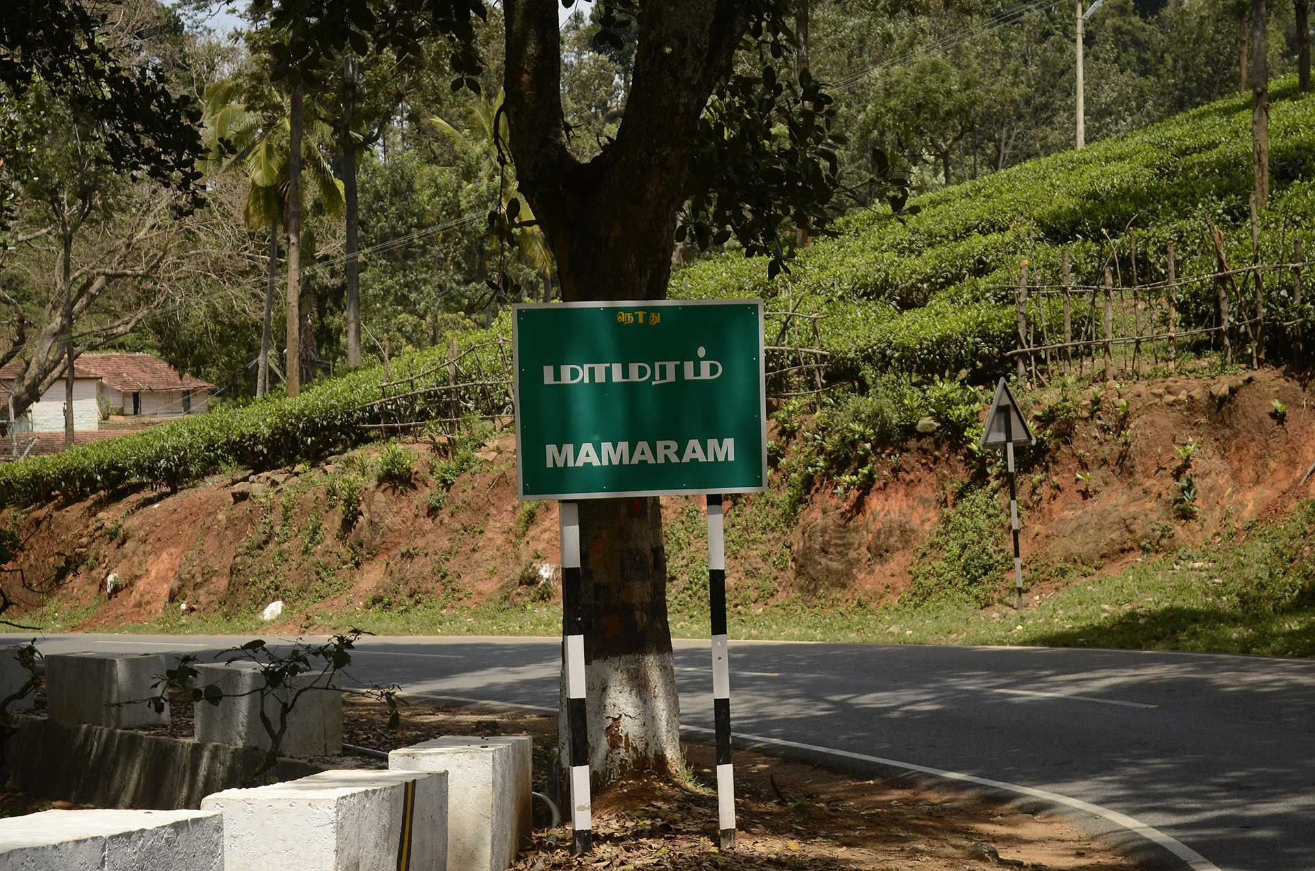      Mamaram road sign board in Tamil Nadu JEG     | Nature Infocus