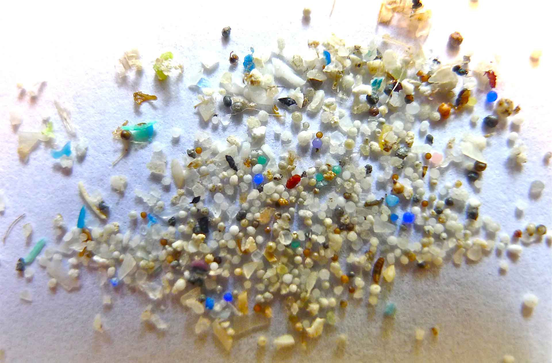 Microplastic pollutants 