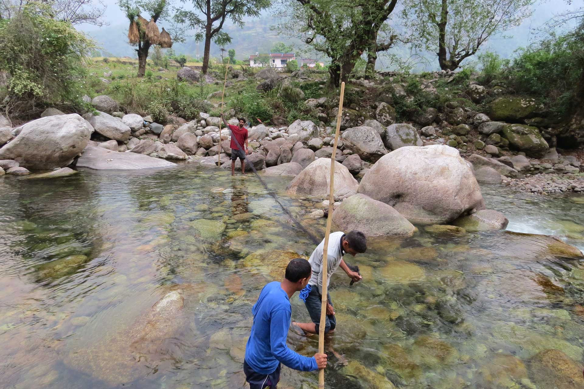 Scientists setting up a bat net to catch and study bats