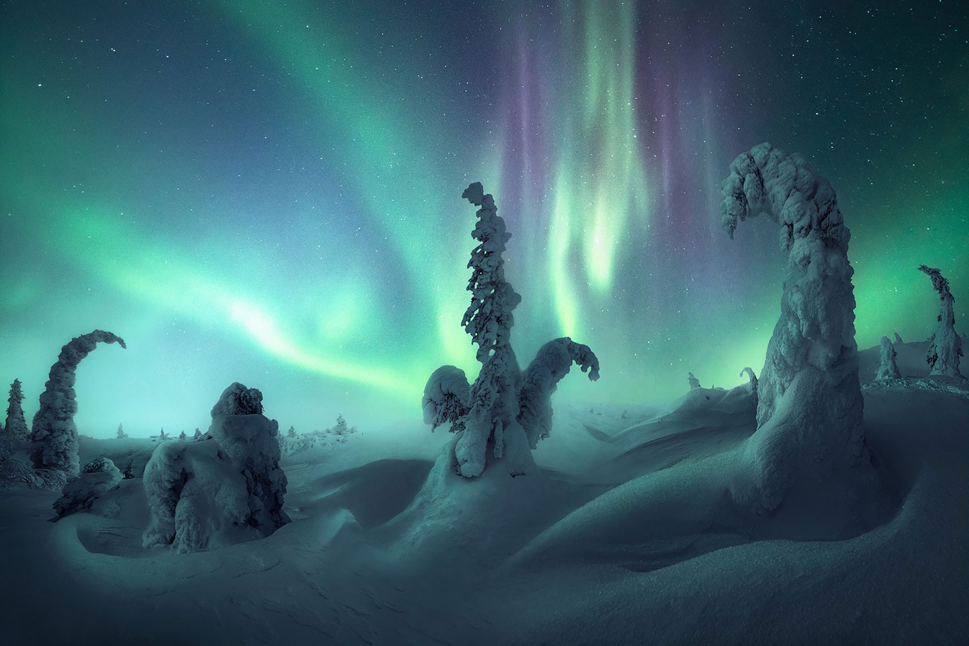 Northern Lights in Murmansk Oblast Russia