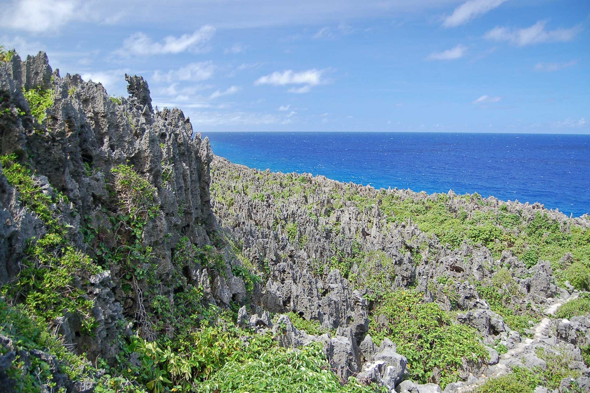 Raised coral atoll along the coast in Niue