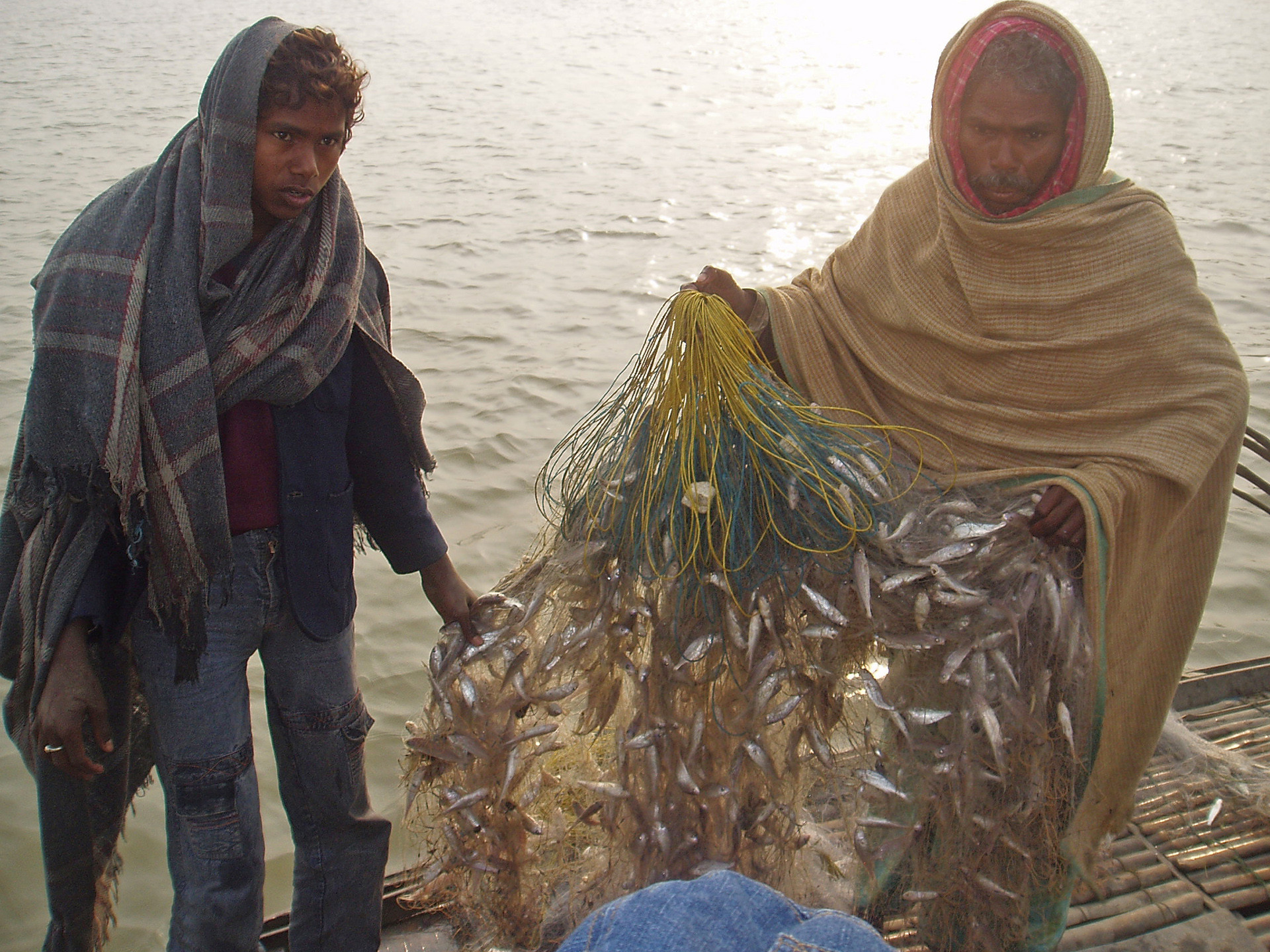 P - Understanding Rivers And Their Less Privileged Denizens | Nature inFocus