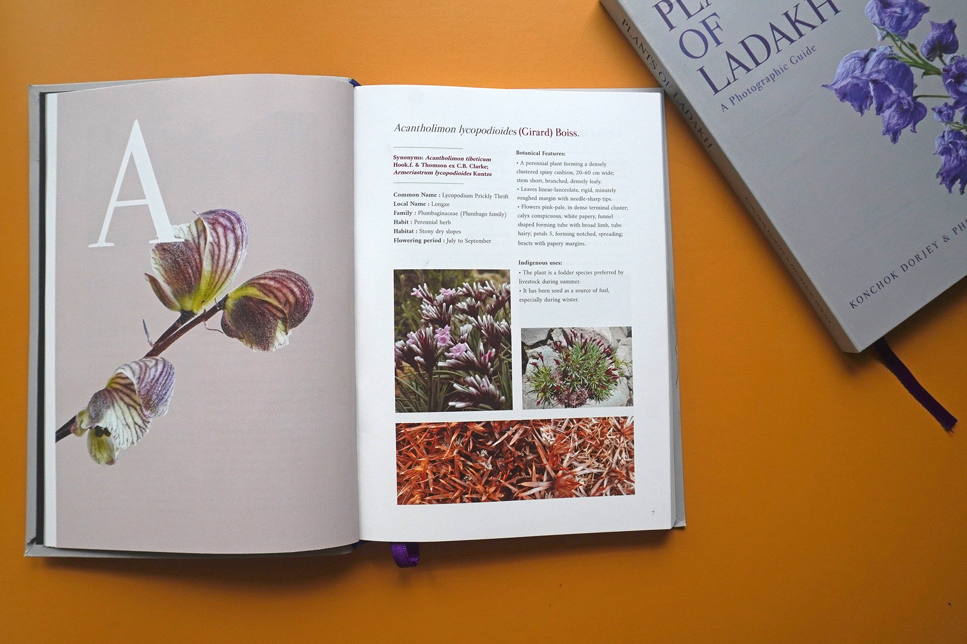 Pages pol inside - New Photographic Field Guide On The Floral Diversity Of Ladakh | Nature inFocus