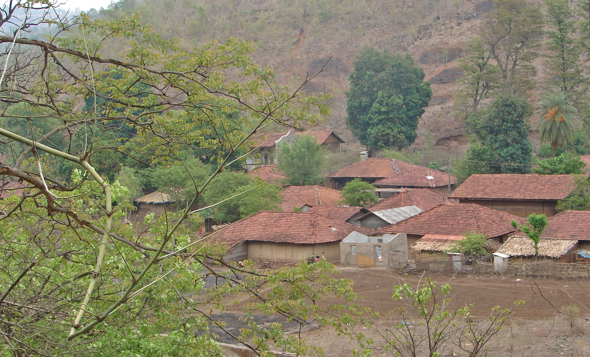 Parnarbasin - On Rivers That Flow And Dams That Stow | Nature inFocus