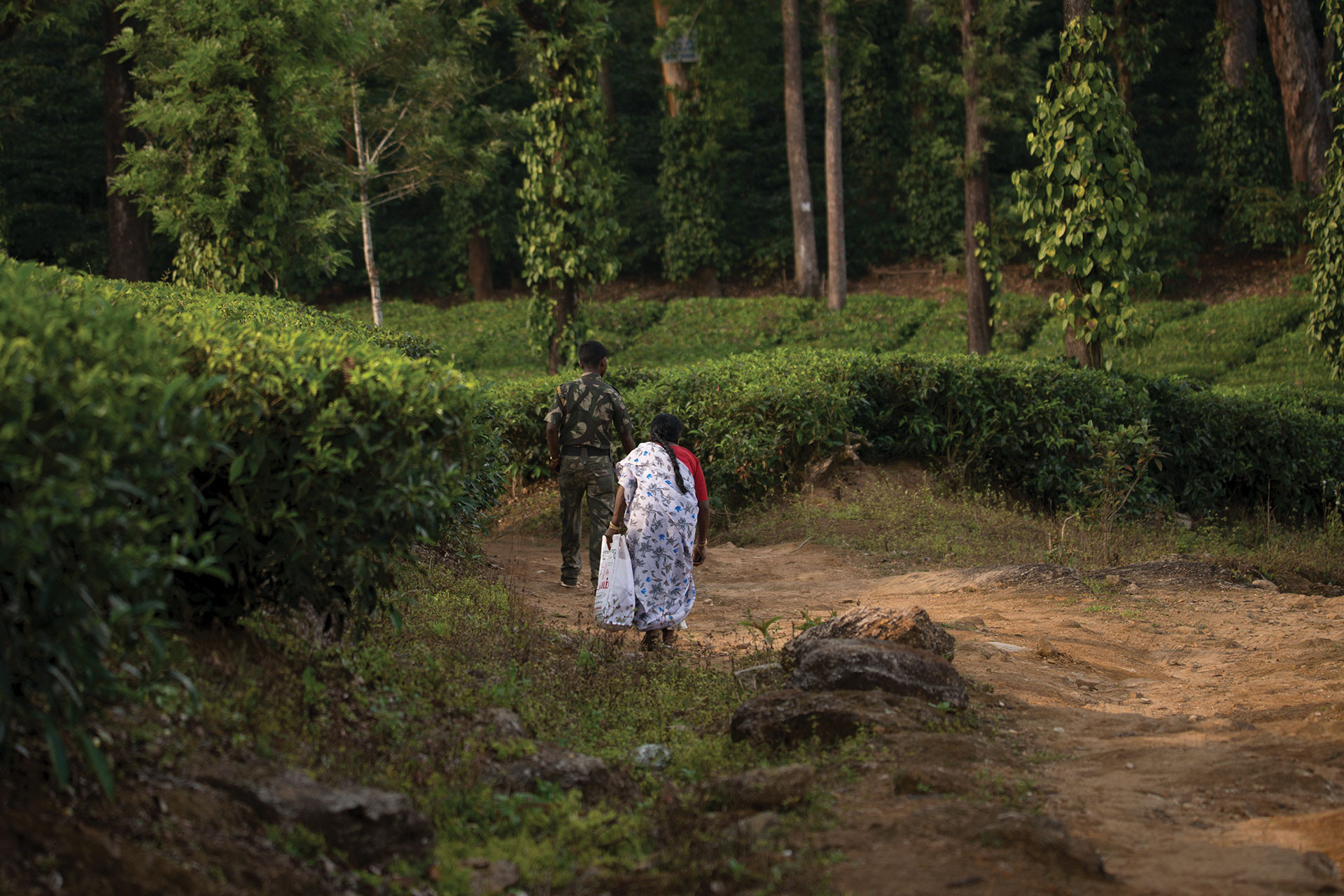      People Elephants GAN     | Nature Infocus