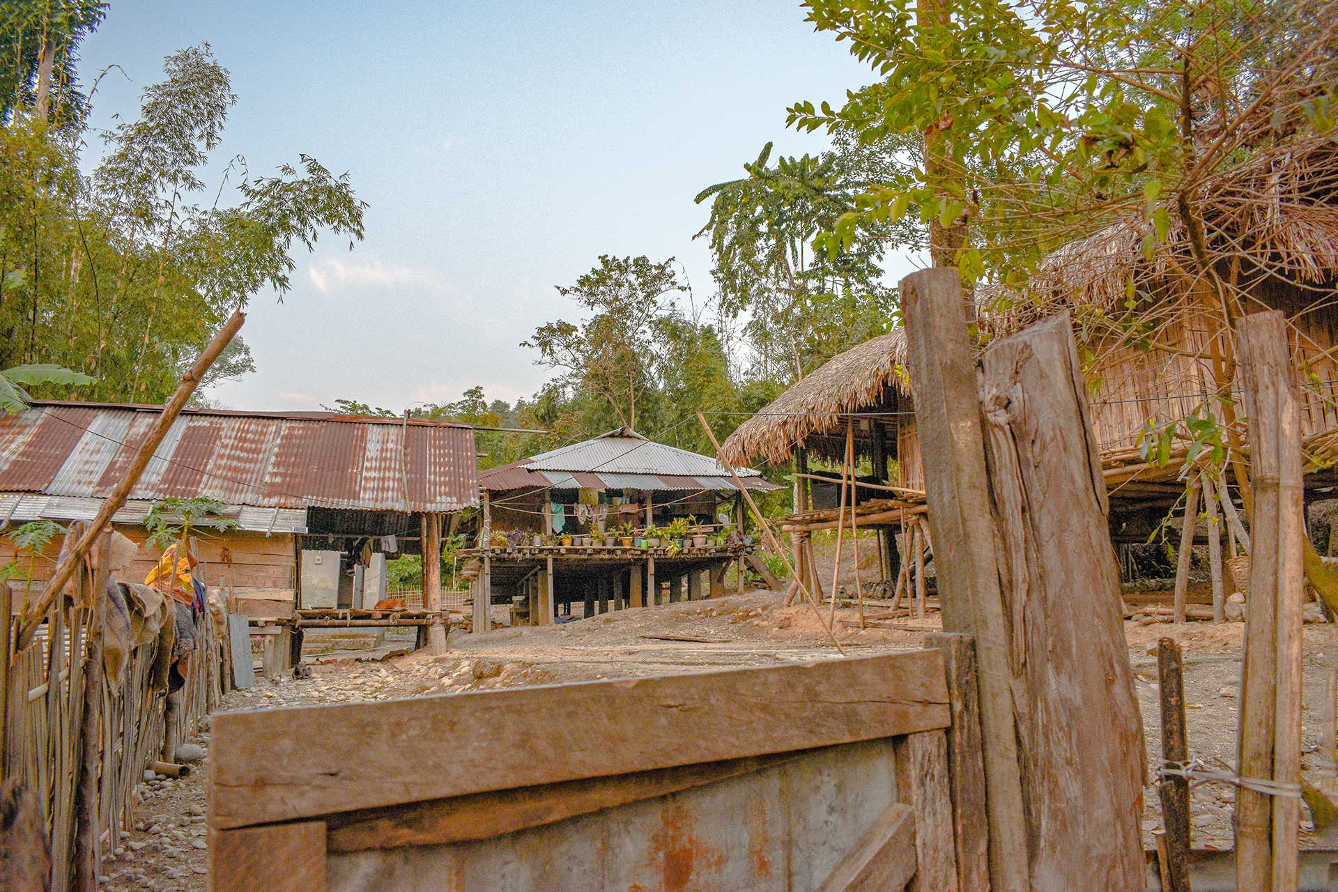 people PaneDako home | Nature Infocus
