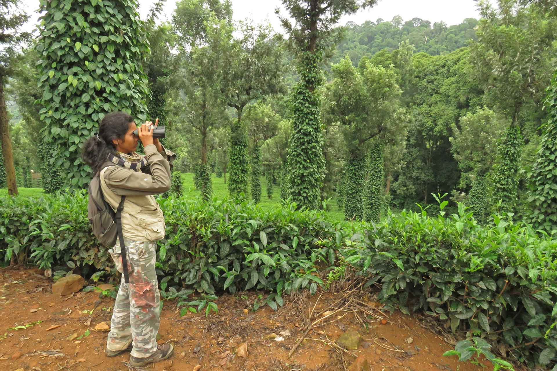      Pooja IMG      | Nature Infocus