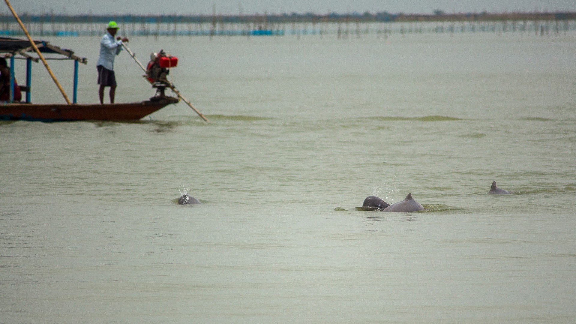 Priyam chattopadhyay - In Danger | Nature inFocus