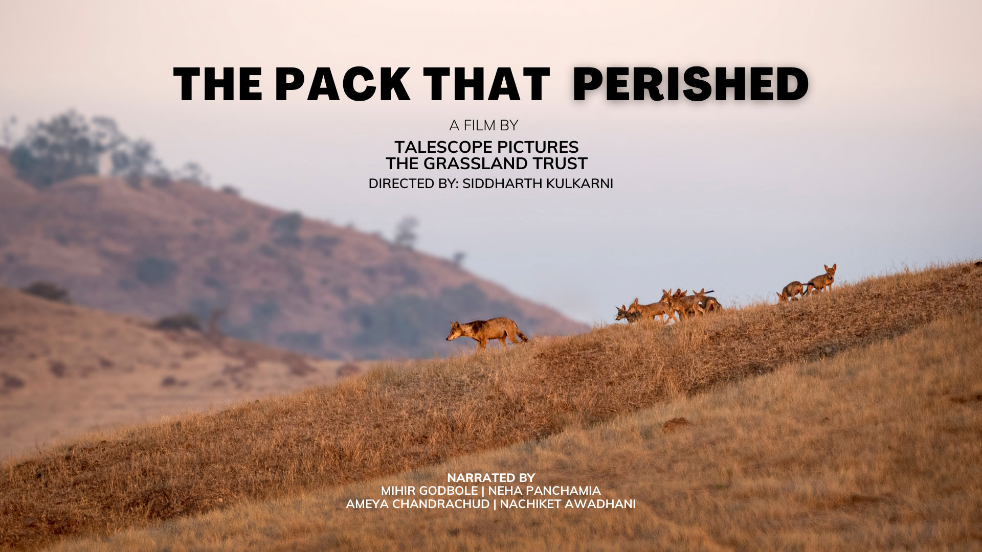 Prof Cons Ashwin Gokhale The pack that perished | Nature Infocus