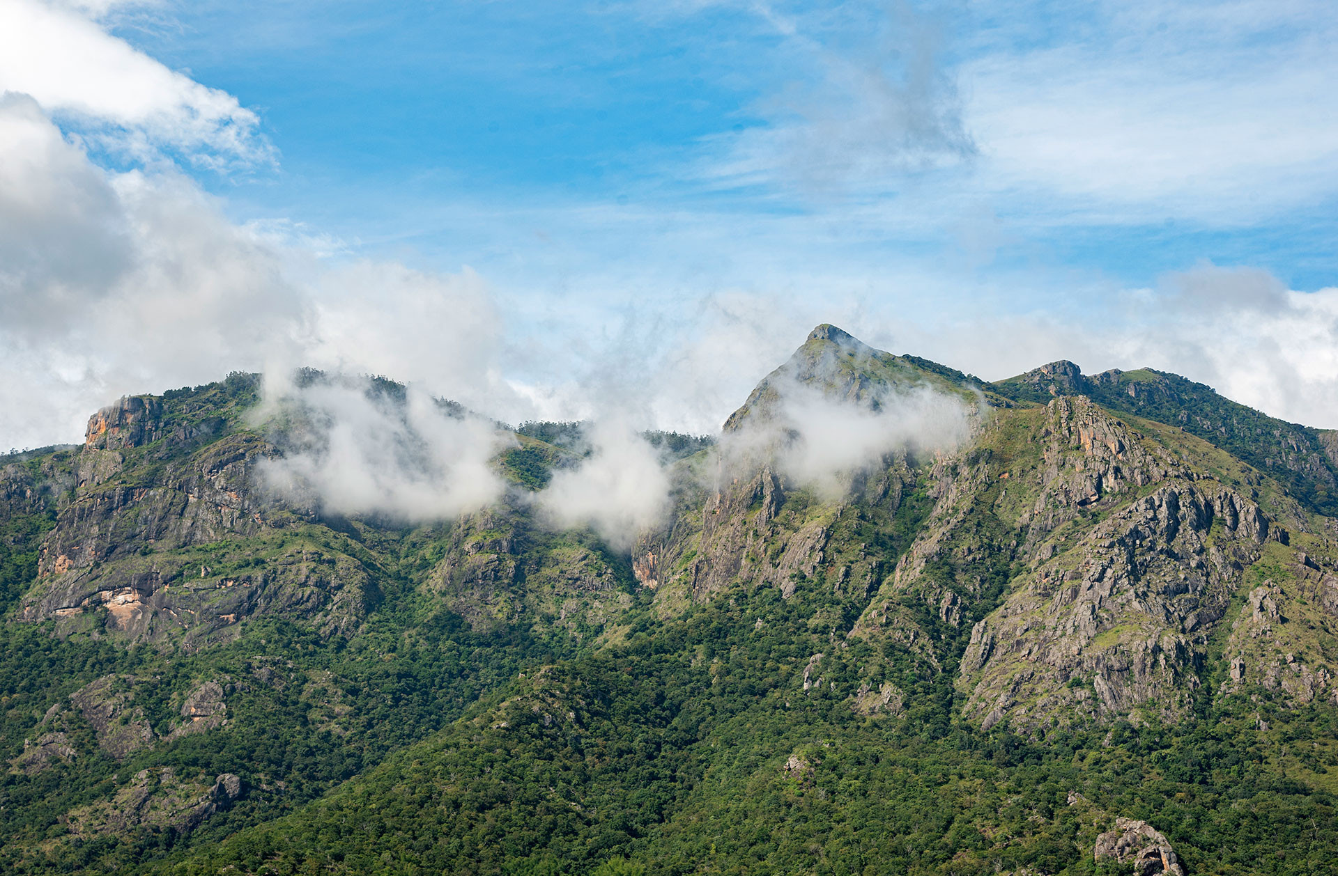 Tall mountains in Nilgiris in Western Ghats