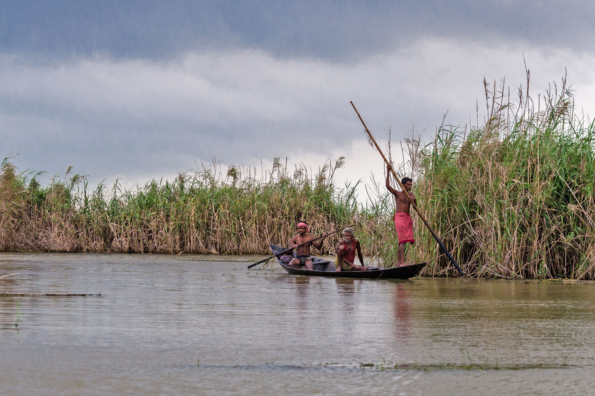 ritobroto moitra image | Nature Infocus