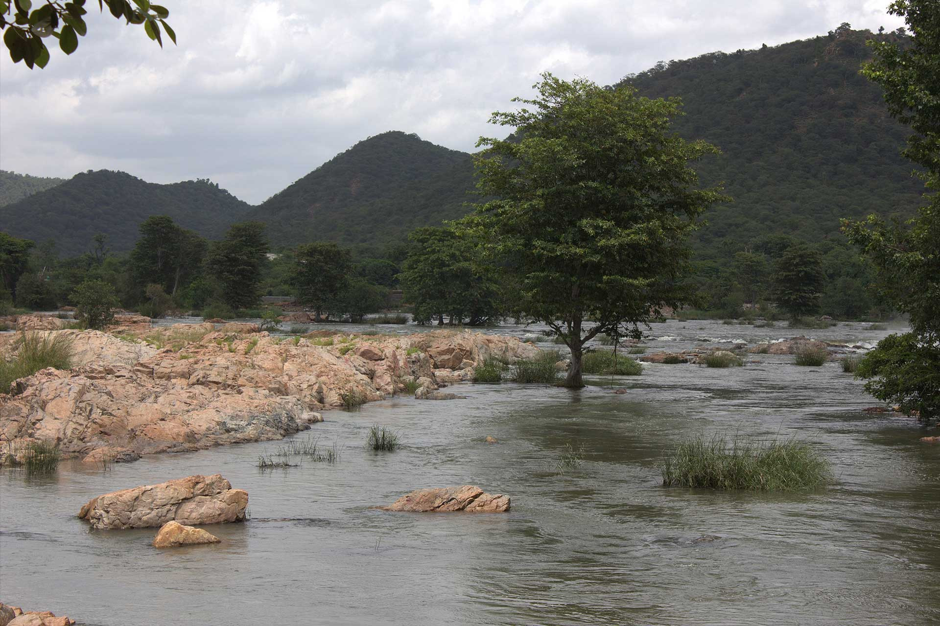 Cauvery Wildlife Sanctuary