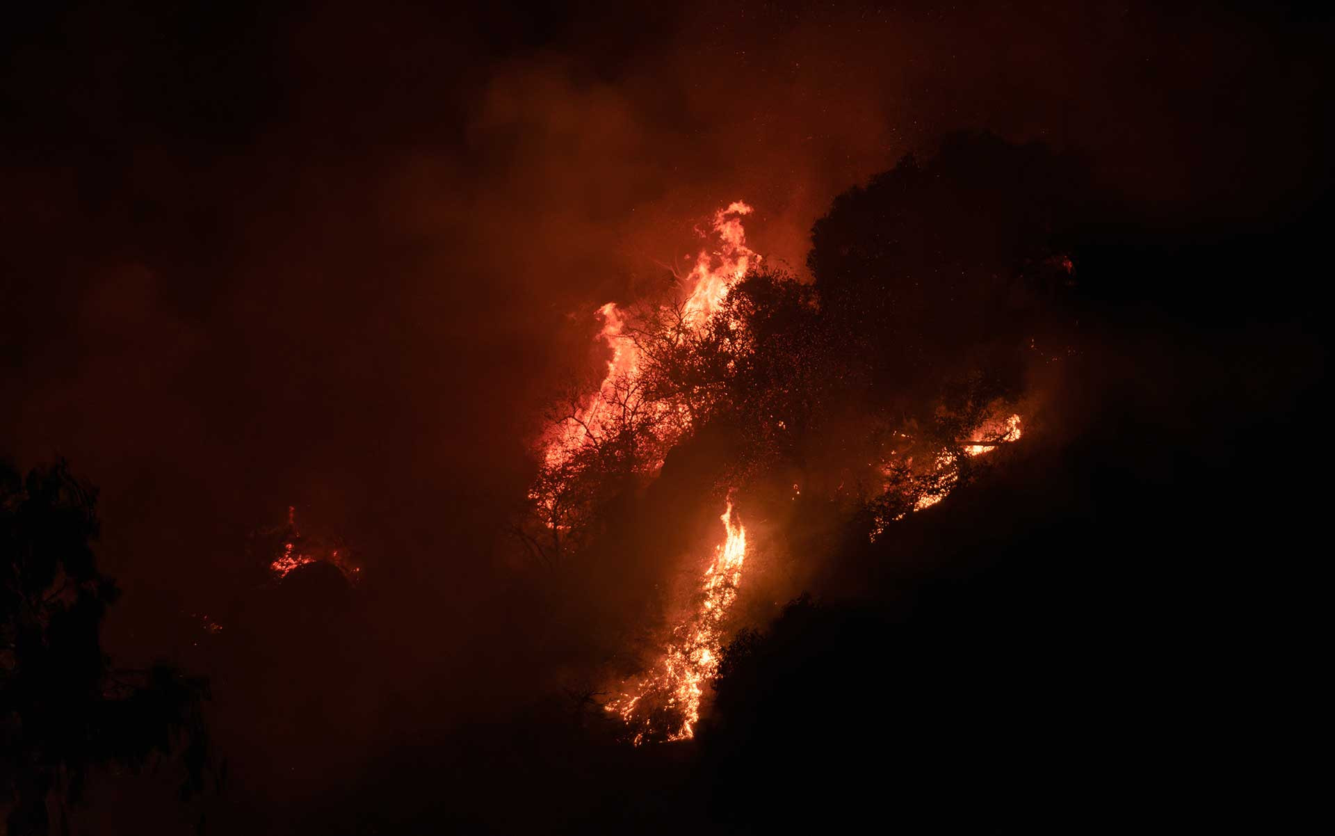 Forest fire in Mount Abu wildlife sanctuary