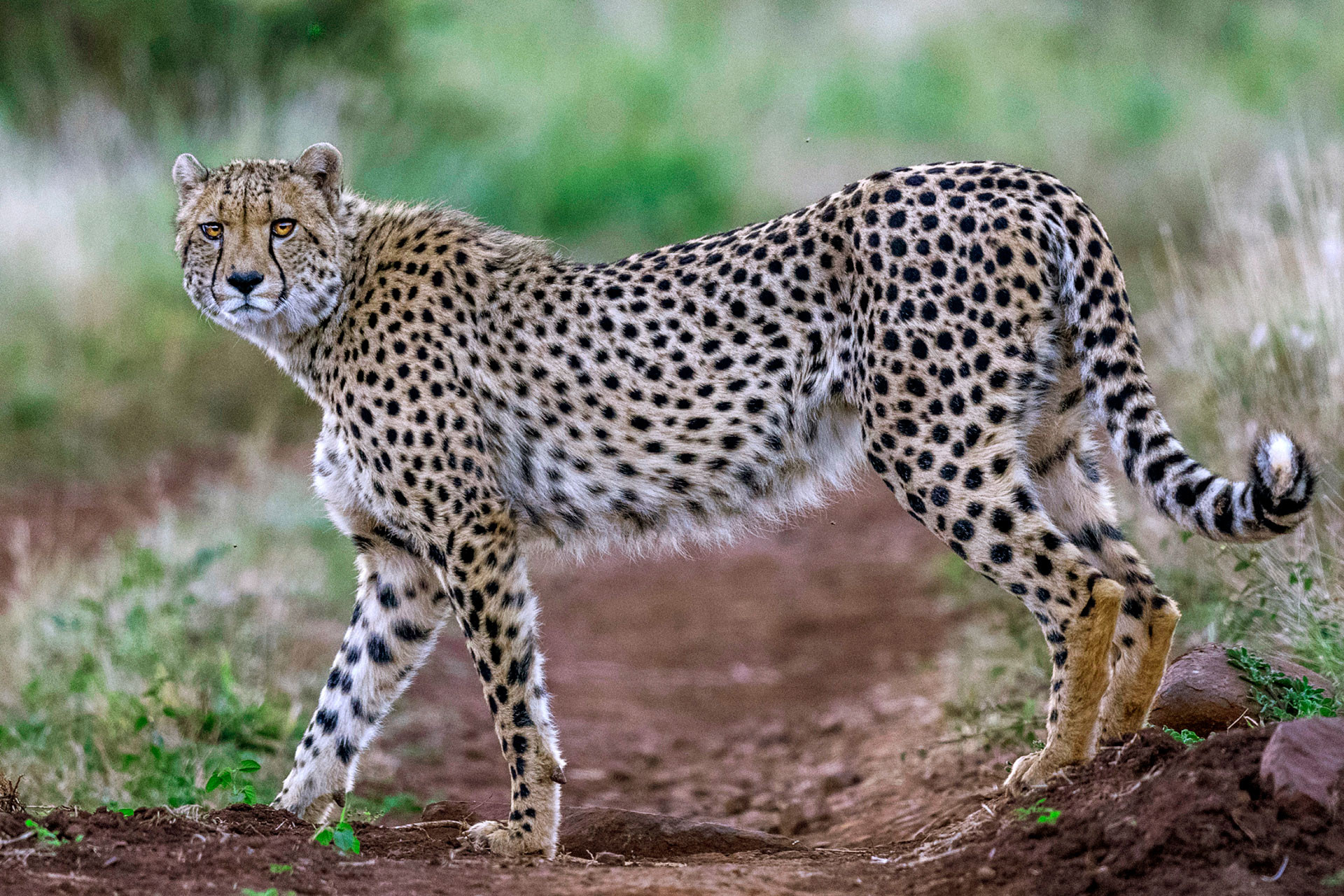      SanjayShukla SKK    SS | Nature Infocus