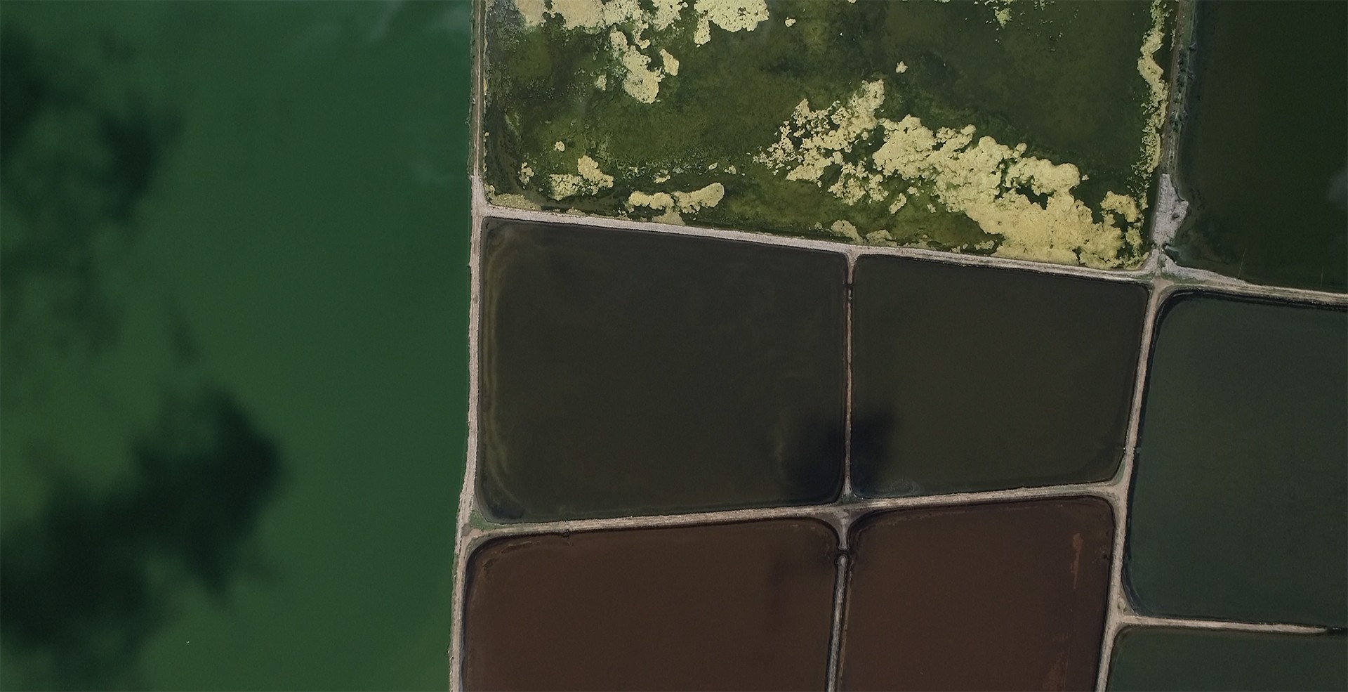 Screen shot            at          pm copy - Reminiscing Wetlands | Nature inFocus