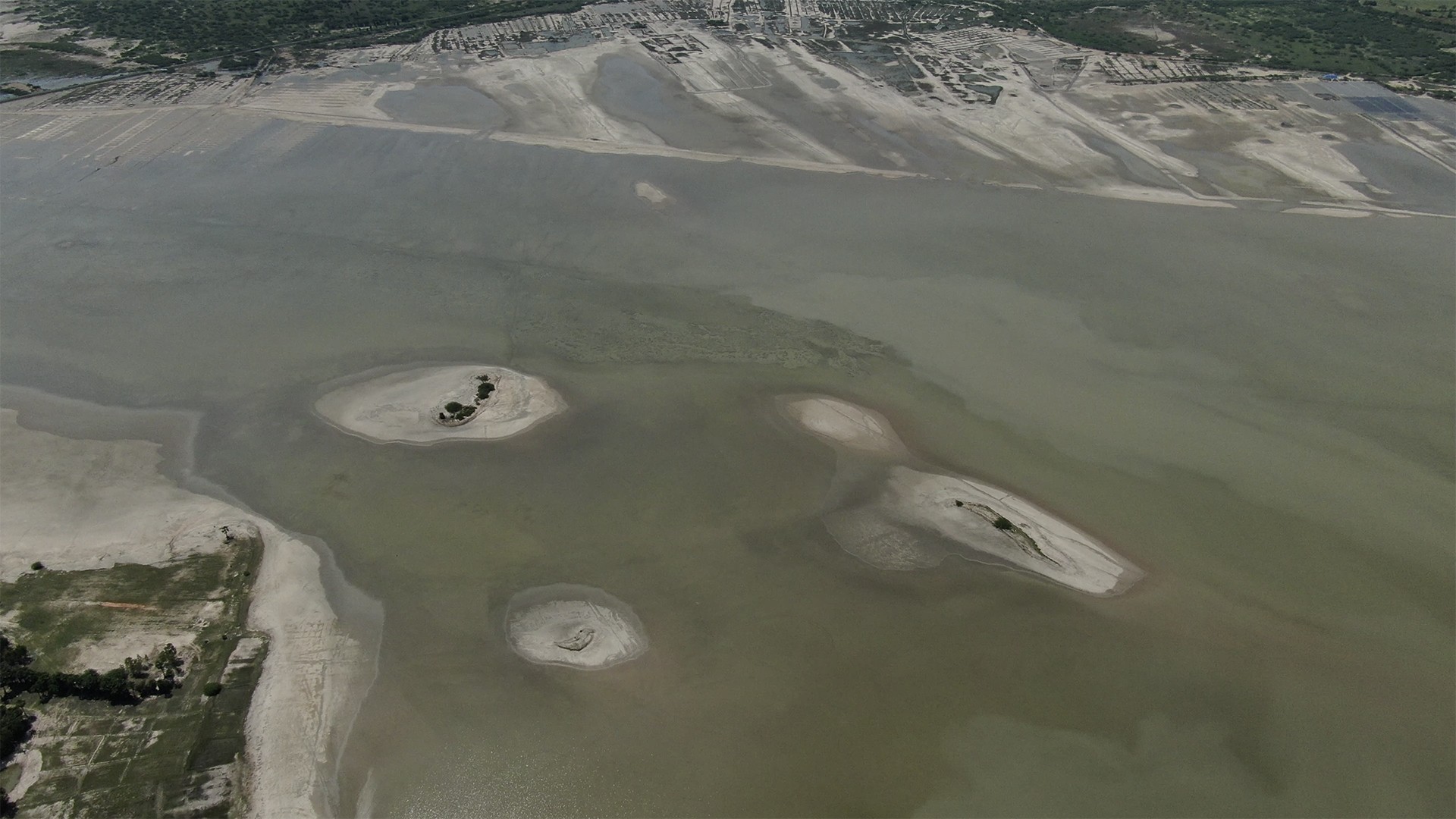 Screen shot            at          pm copy - Reminiscing Wetlands | Nature inFocus