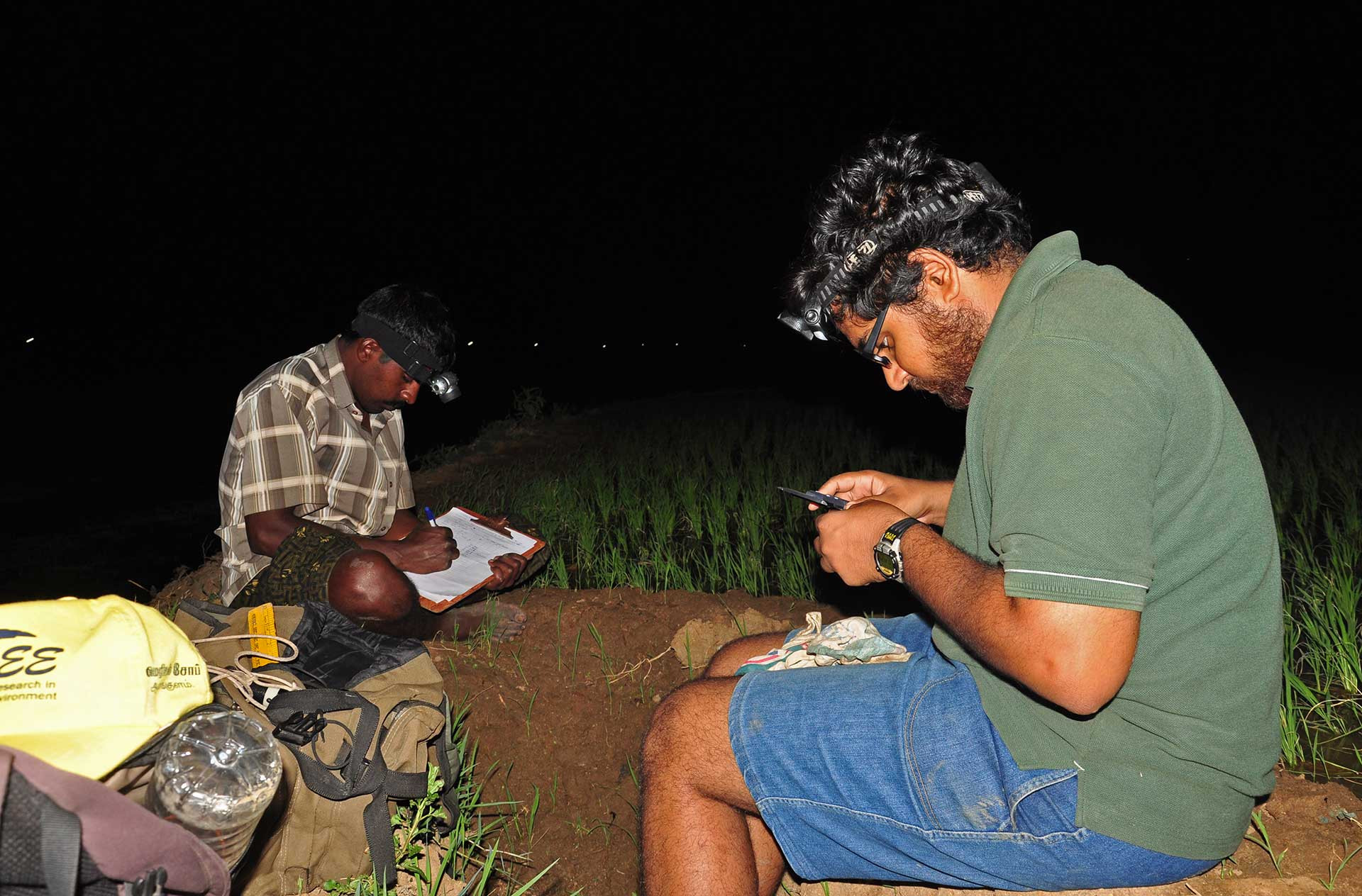 Scientist studying frogs in the field