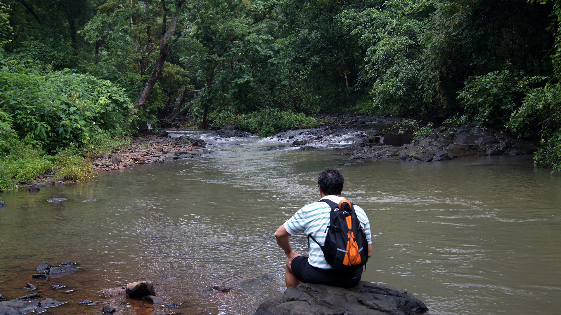 Silonda trail in Sanjay Gandhi National Park, Mumbai