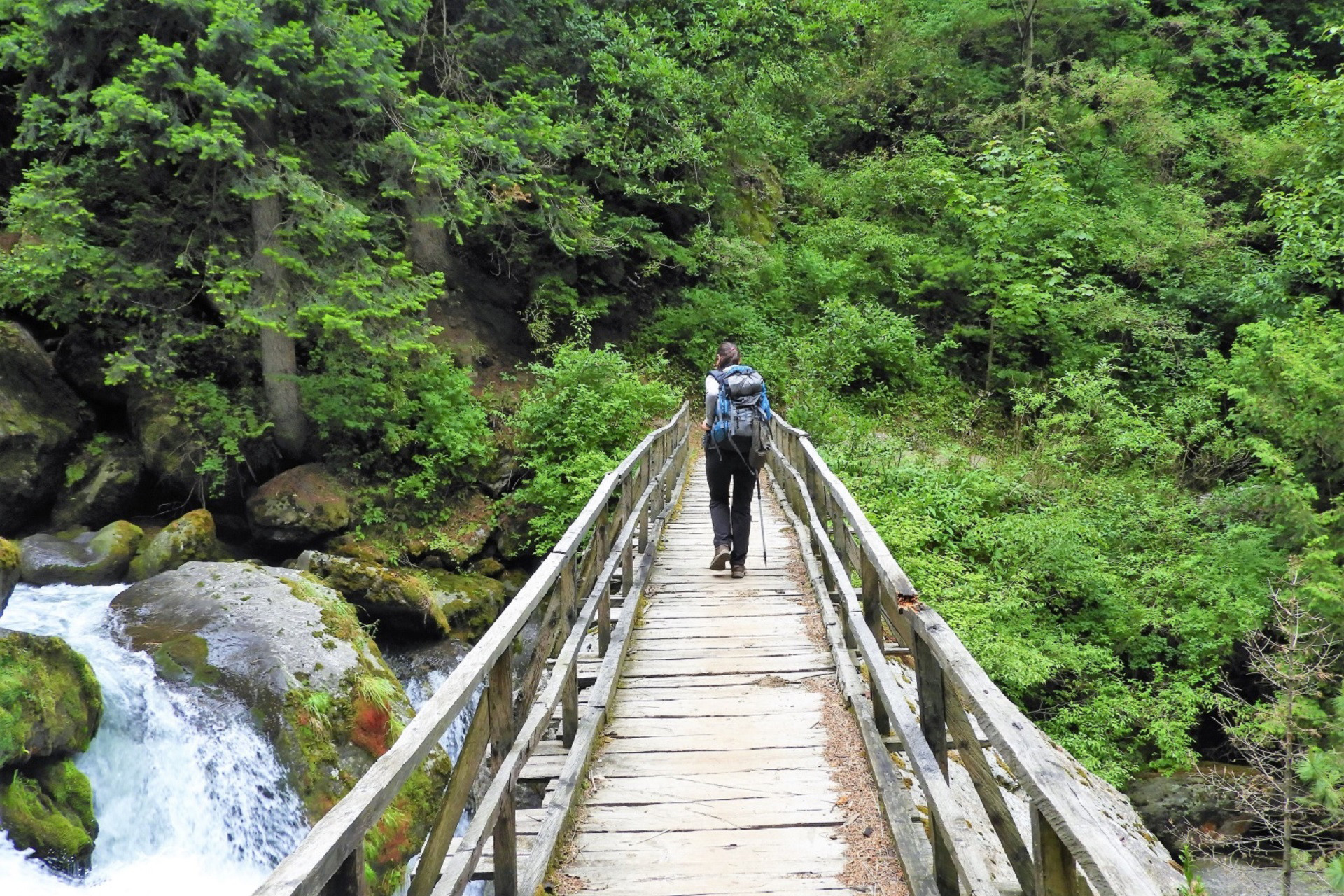 Trekking in Great Himalayan National Park GHNP