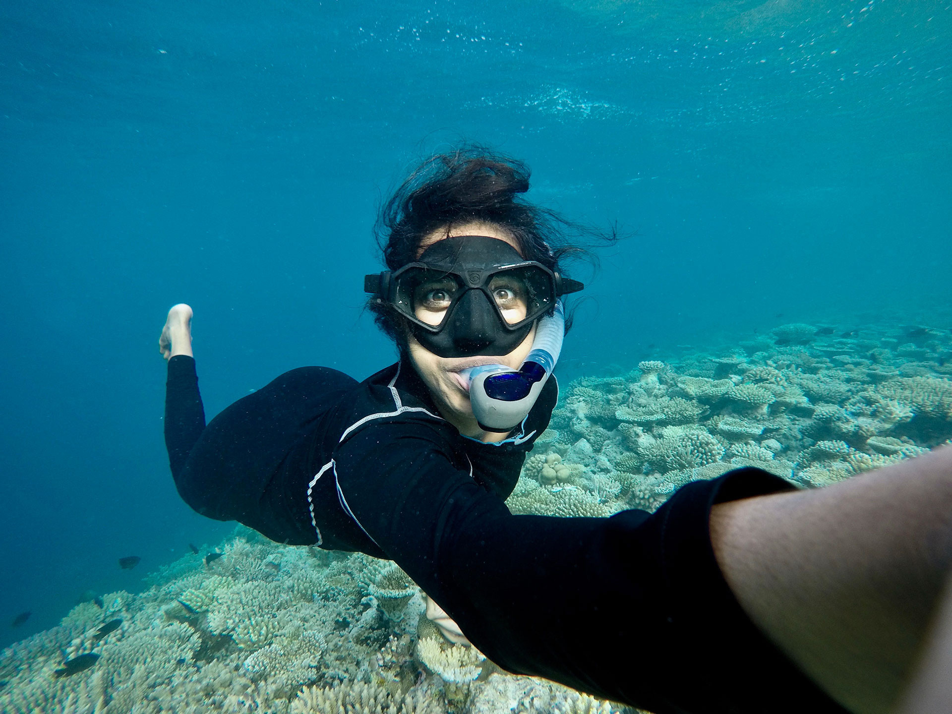 Marine biologist diving near a coral reef