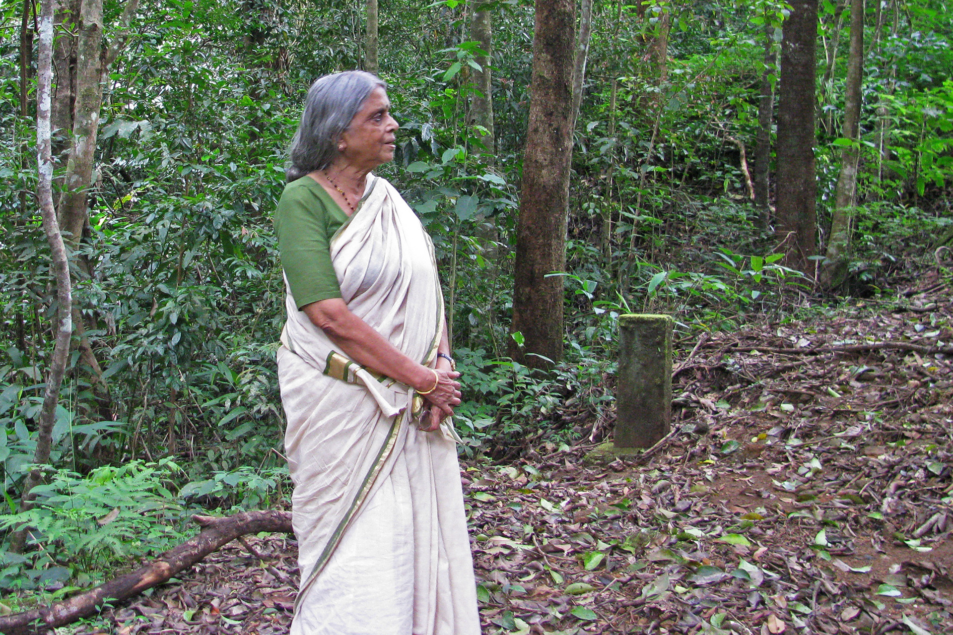 Silentvalley - An Ode To Poet-Activist Sugathakumari | Nature inFocus