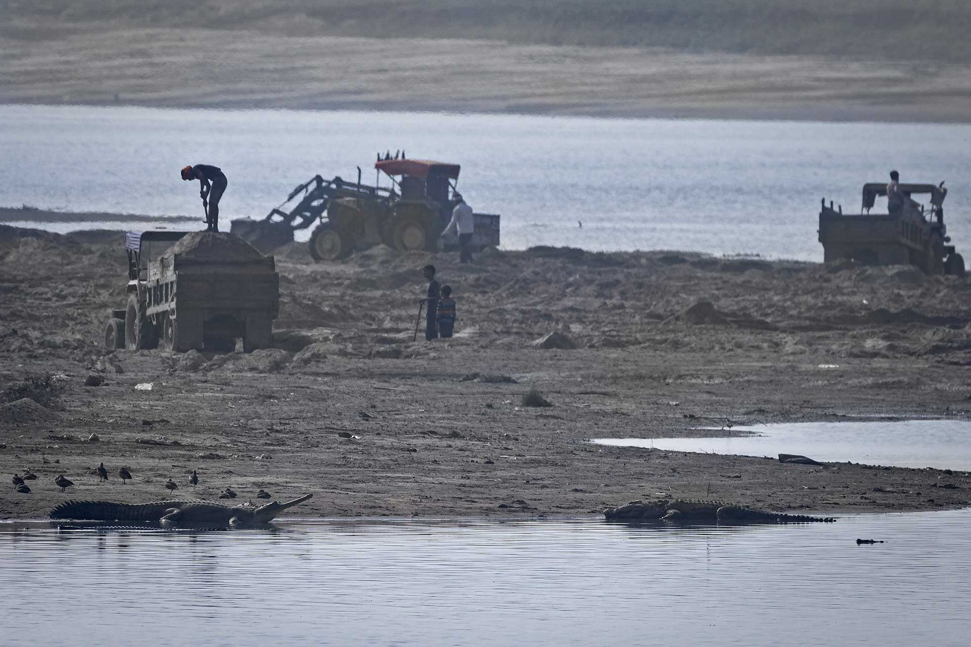 Sand mining in River Chambal with Gharials