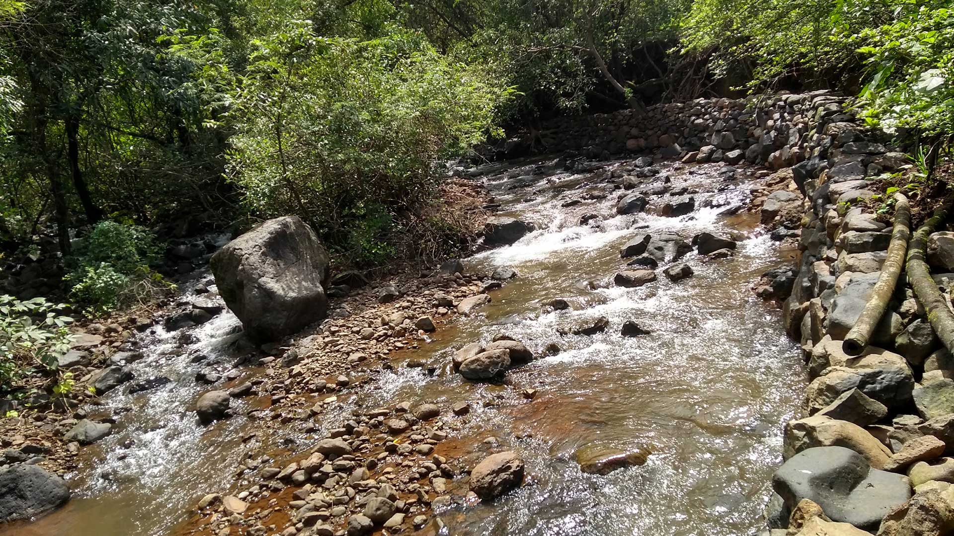      Stone wall at Rahal | Nature Infocus
