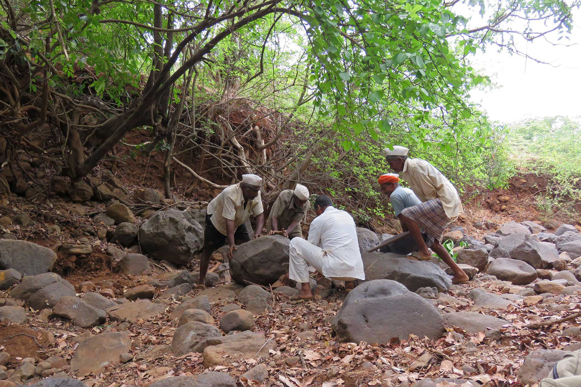      Stone wall in making Rahal | Nature Infocus