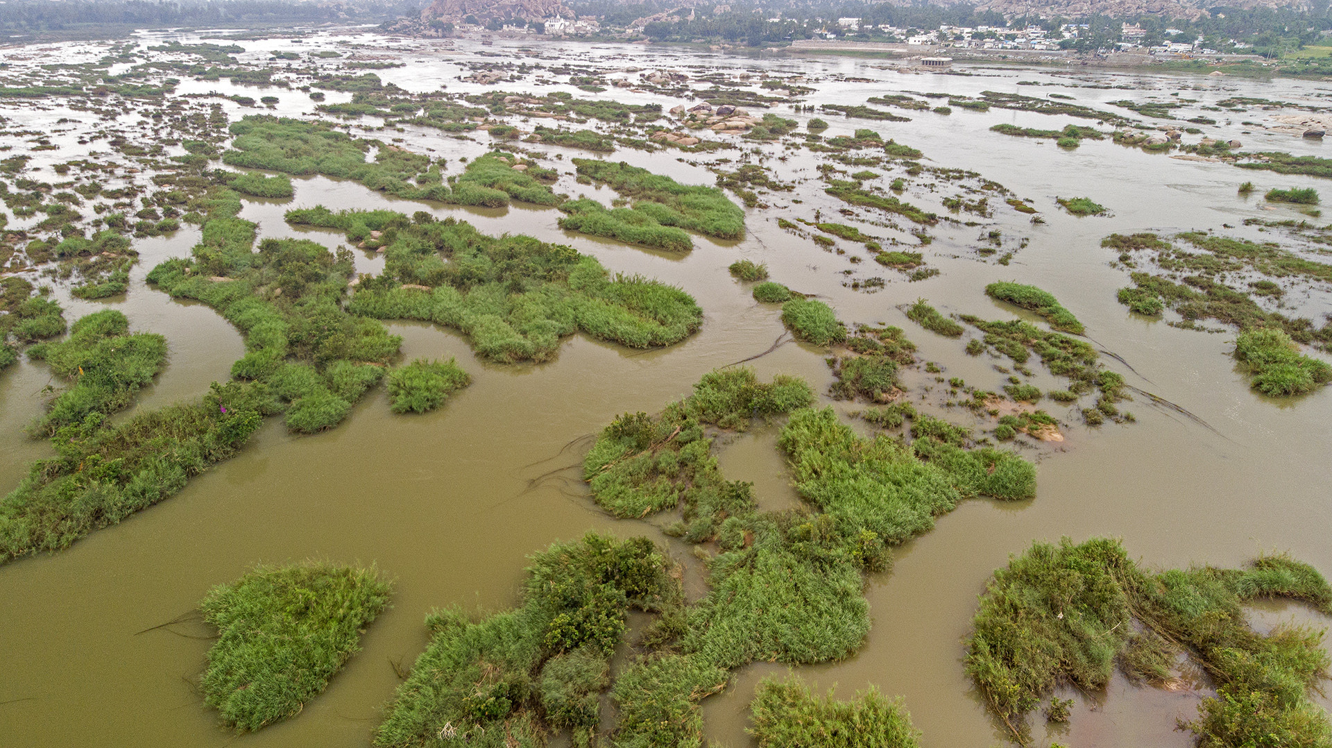 Tungabhadra aerial habitat - Otterly Beautiful | Nature inFocus